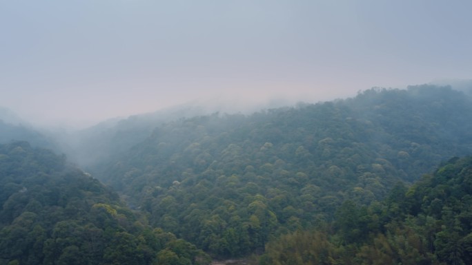 山 雾气  山中 云雾弥漫