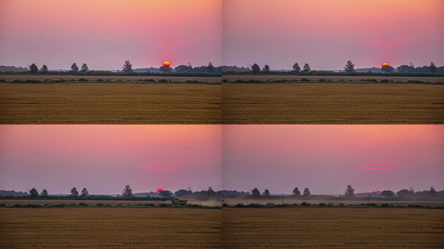 延时拍摄的联合收割机收割与日落在黄昏的背景。