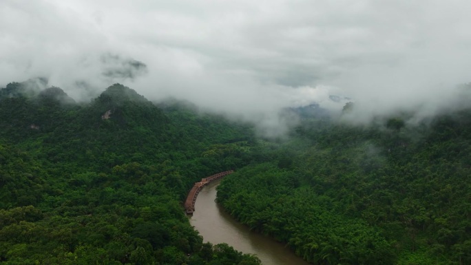 鸟瞰云雾，深绿色的森林和河流。丰富的雨林自然生态系统，保护天然林的概念