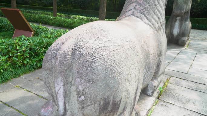 南京明孝陵风景区石象路石马