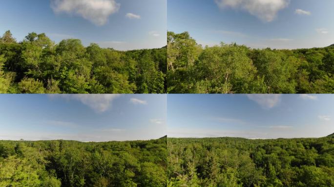 在蓝天的夏日里，特朗勃朗山的绿色森林上空的航拍