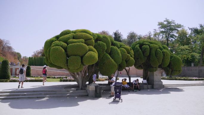 西班牙 公园 面包树