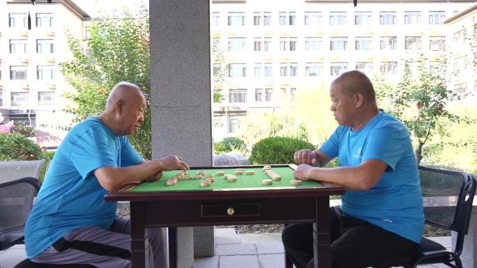 老人下象棋