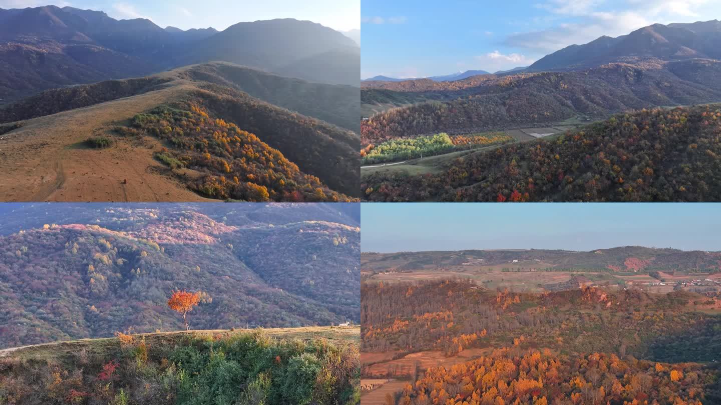 和政县红土沟秋日风光秋天秋景落叶