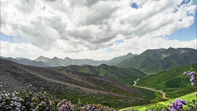 远山、高山杜鹃花和云朵延时