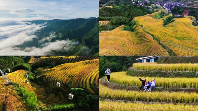 中国乡村 龙脊梯田 美丽乡村 乡村振兴