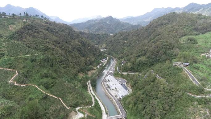 陕西茶山茶园航拍