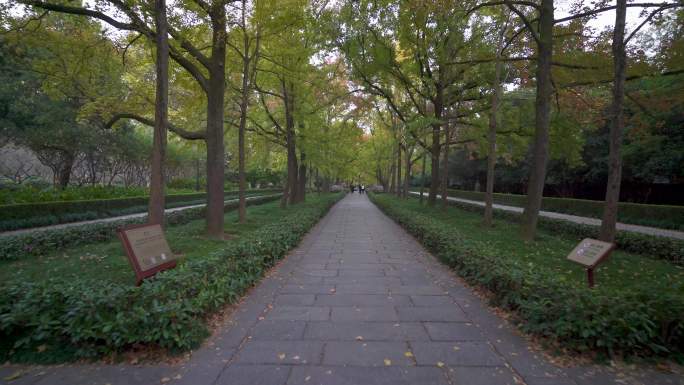 南京明孝陵风景区石象路石骆驼