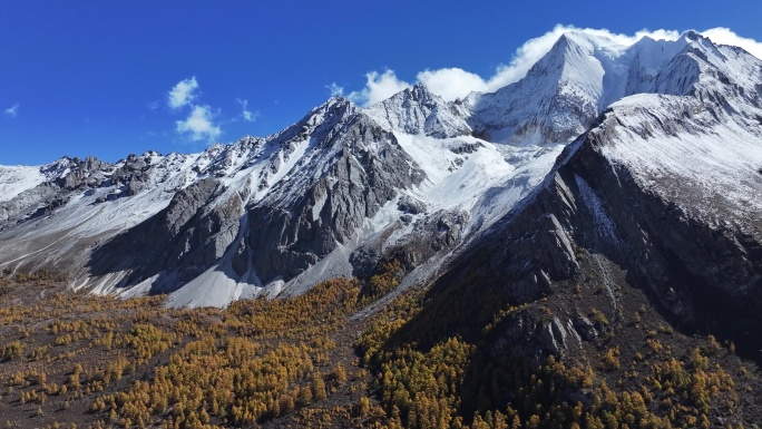 高原雪山秋景