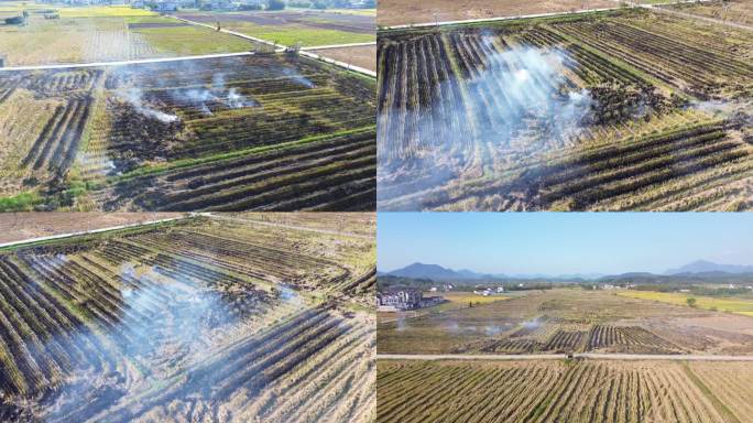 农村稻田烧田麦秆浓烟