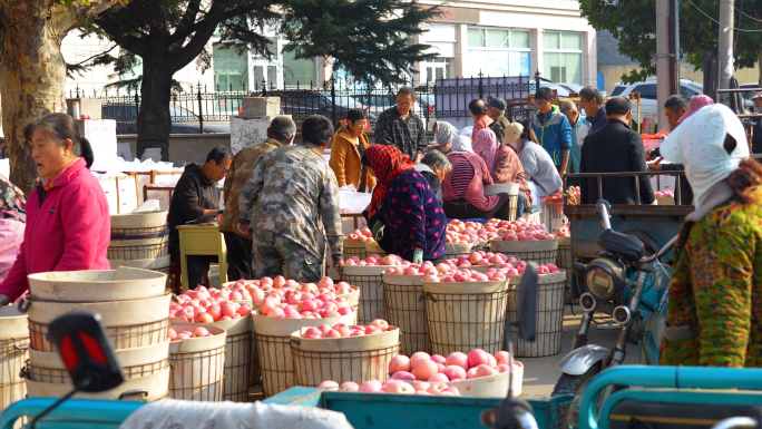 烟台农民卖苹果，苹果市场