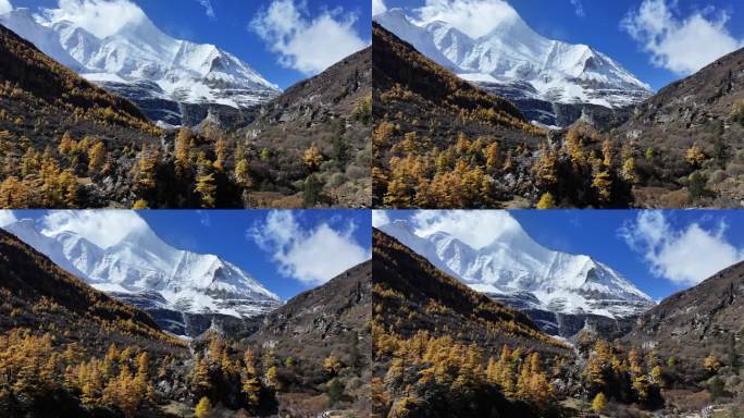 稻城亚丁秋景雪山航拍