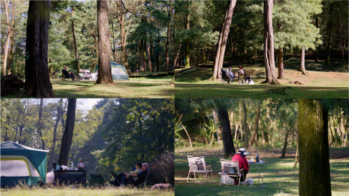 秋天的森林公园里搭帐篷露营的人们