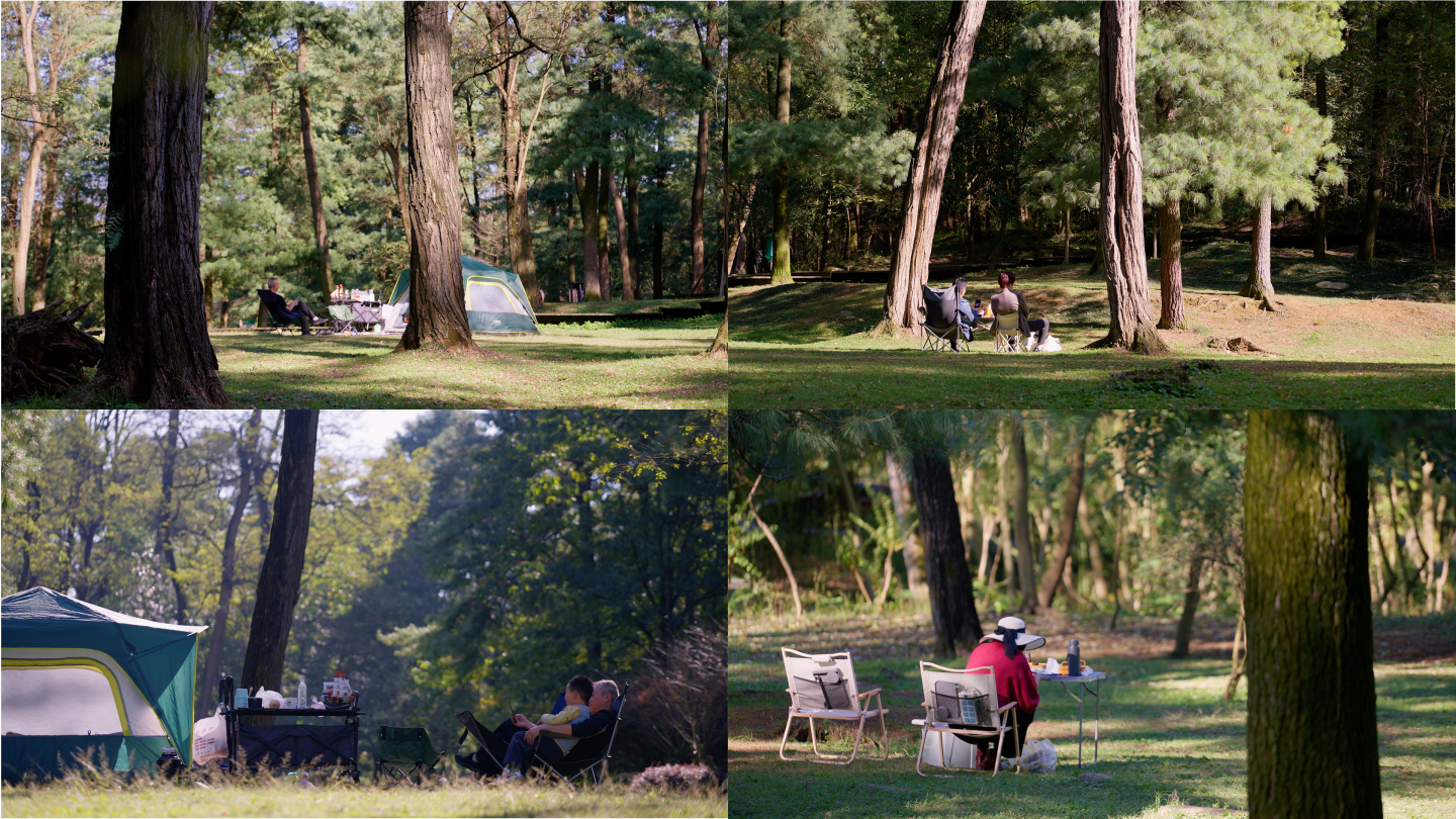 秋天的森林公园里搭帐篷露营的人们