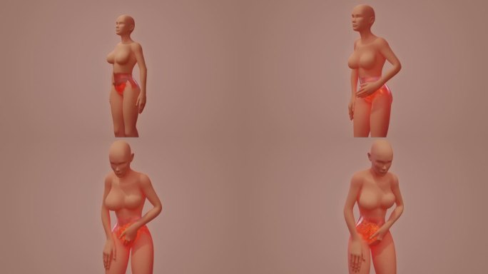 月经疼痛的三维可视化半透明女性身体姿势和痛点