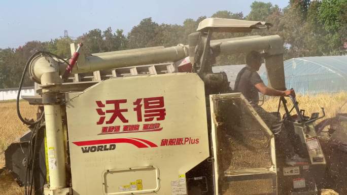 水稻机器收割秋收稻田自动化收割机乡村振兴