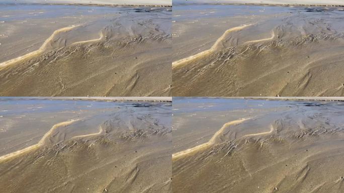 清澈海滩 金色沙滩 细砂 砂子 3351