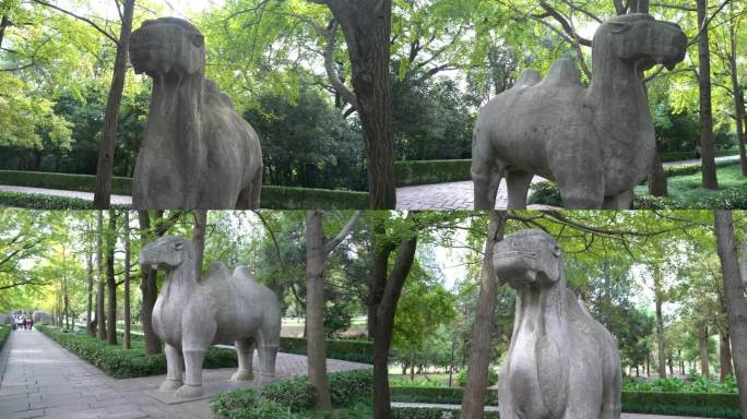 南京明孝陵风景区石象路石骆驼