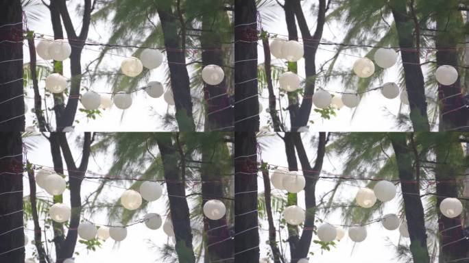 纸灯罩装饰在树上