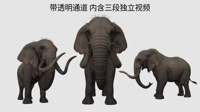 特效写实大象