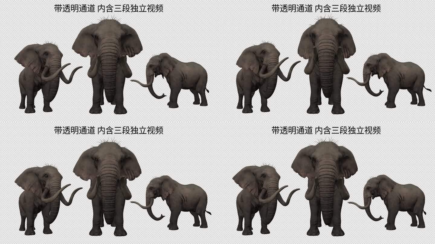 特效写实大象