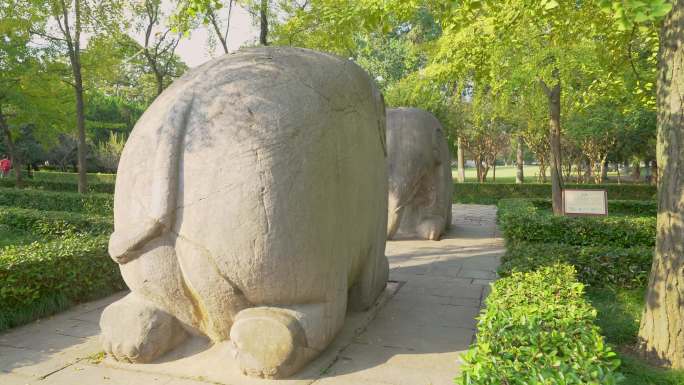 南京明孝陵风景区石象路石象雕塑