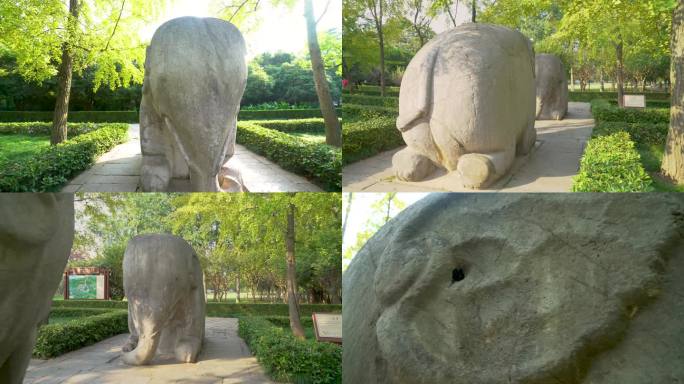南京明孝陵风景区石象路石象雕塑