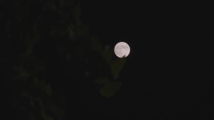 月亮升起月中秋明月
