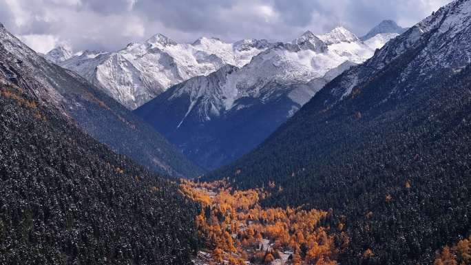 彩林 雪山 航拍