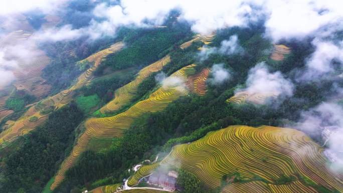 龙脊梯田 中国乡村 美丽乡村 乡村振兴