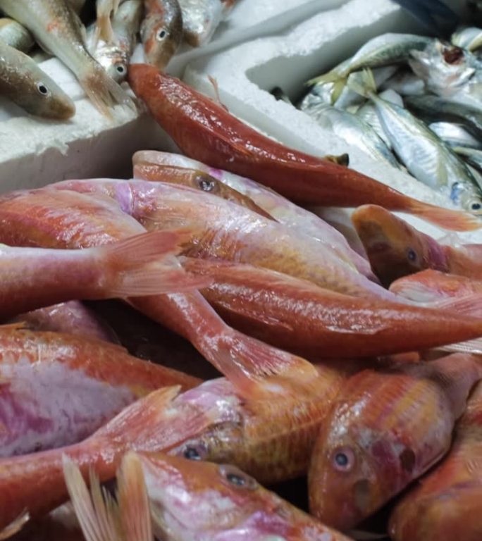 新鲜的生海鲜在室内市场