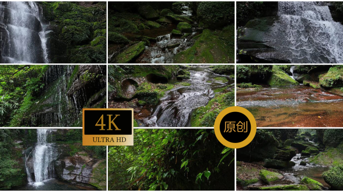 4K唯美山谷溪水清澈的碧峰峡   素材