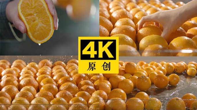 水果果汁 新鲜水果 橙子展示