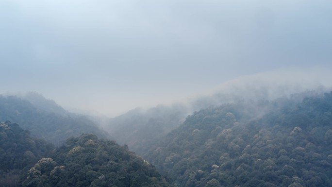 山 雾气  云雾弥漫 云海