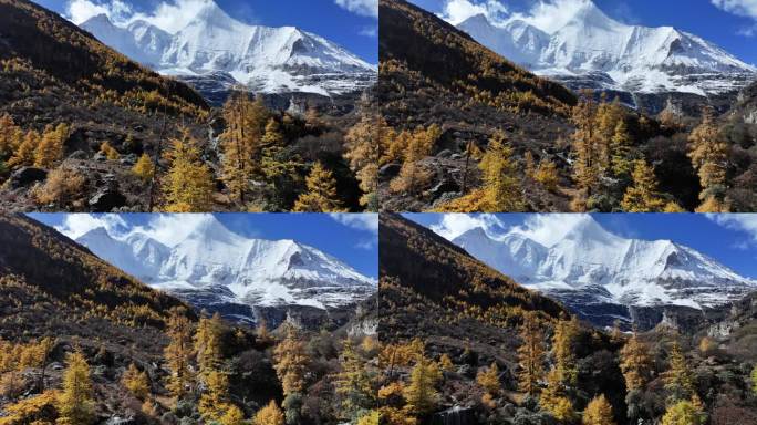 稻城亚丁秋景雪山航拍