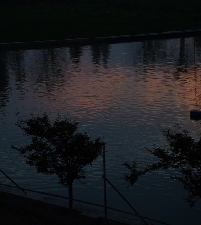 傍晚日落池塘边倒影