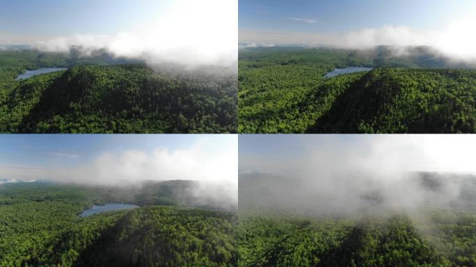 在美丽的夏日里，低云笼罩在加拿大魁北克省特朗勃朗山的森林湖上
