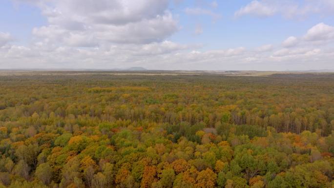 原始森林秋天航拍4K