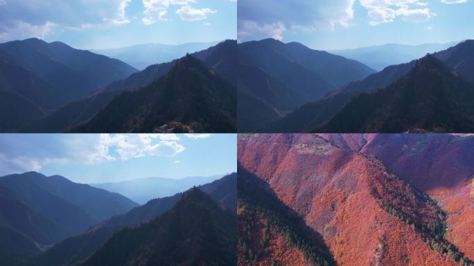 兰州兴隆山植被秋景航拍延时视频素材