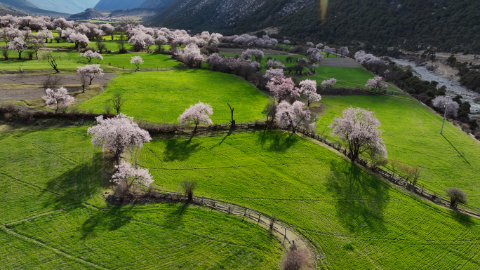 西藏林芝波密县桃花沟巴康村