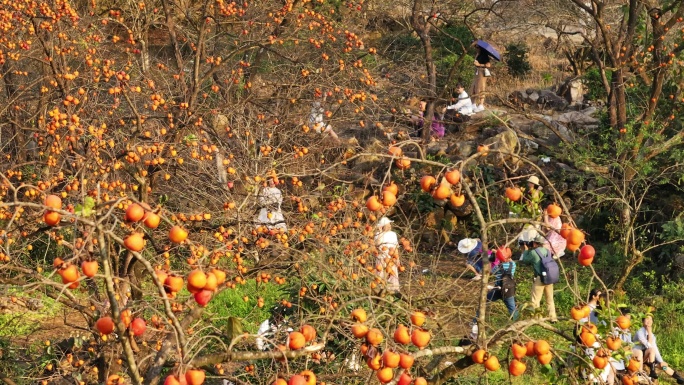 中国广东省广州市从化区吕田镇桂峰村