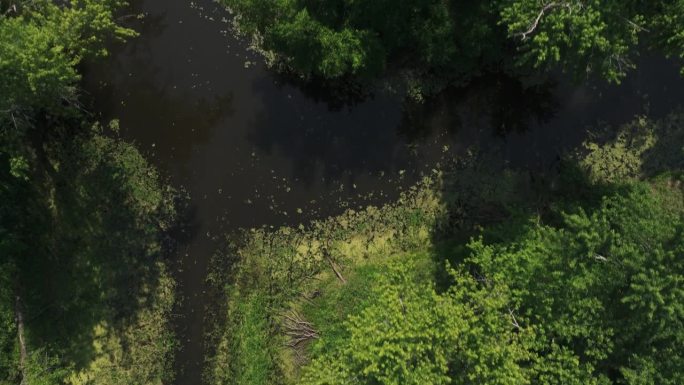 在明尼苏达州瓦巴沙的密西西比河洪泛区，树木环绕的沼泽地池塘。天线由上而下的