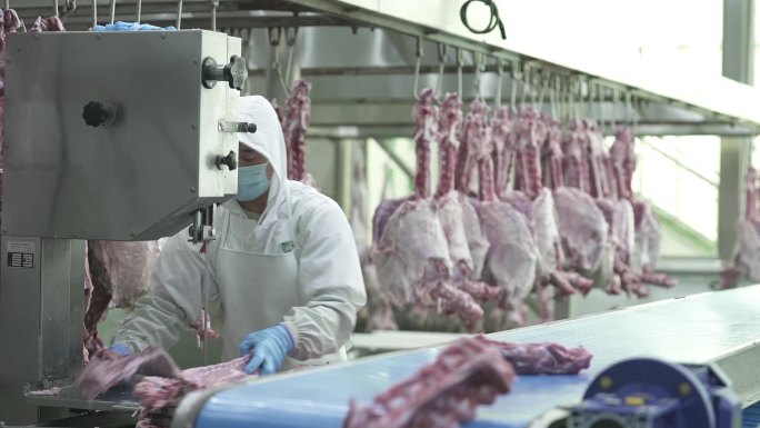 肉品 屠宰 分割 切肉 割肉 屠宰厂
