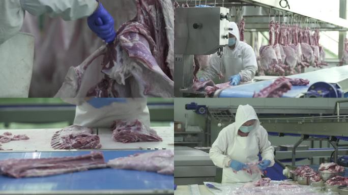 肉品 屠宰 分割 切肉 割肉 屠宰厂