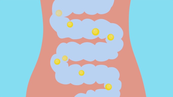 动画消化系统。肠，气，胀气，腹胀，细菌
