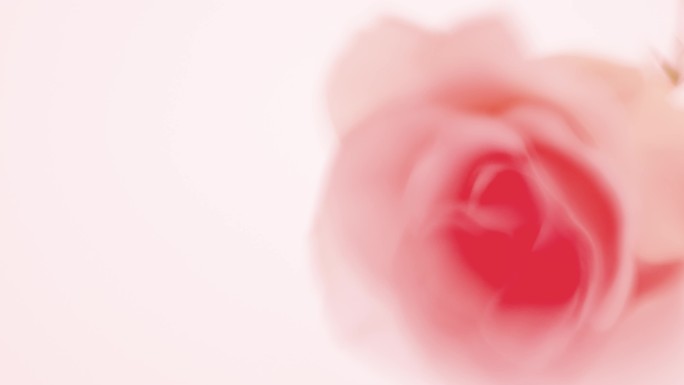 实拍抽象的幻影粉色花朵