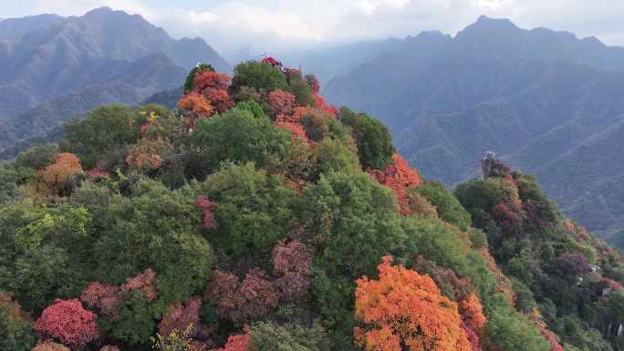 翠华山航拍