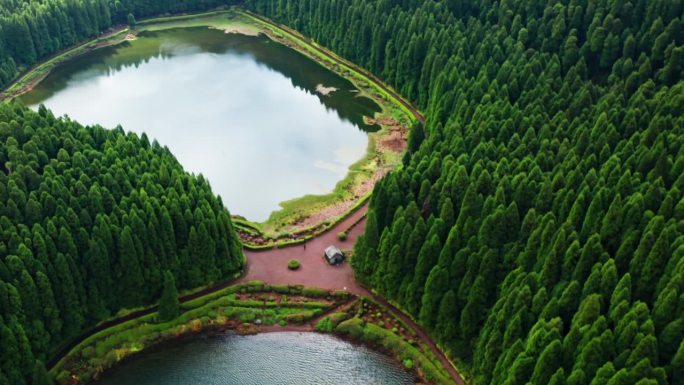 电影空中无人机拍摄的火山湖在亚速尔群岛-葡萄牙。高高的青松环绕着湖。背景是风景如画的风景。