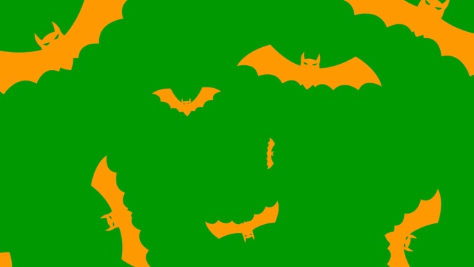 动画中的橙色蝙蝠从屏幕中央飞出。毛圈的视频。万圣节的概念，黑色星期五。平面矢量插图隔离在绿色背景上。