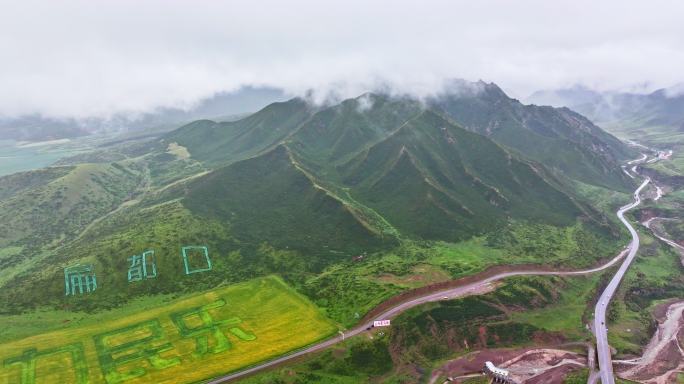 航拍张掖扁都口油菜花海